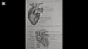 teach science from grade 1 to university with clear notes