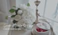 provide a targeted wedding vendor email list for lead generation