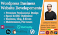 build wordpress business website store, design, fix, SEO, speed in USA, italy