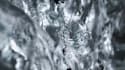 create 3d perfume animation 3d perfume design 3d fragrance 3d bottle design cgi
