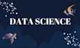 do data science deep learning and machine learning