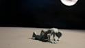 do stunning claymation animation, stop motion, clay, clay model, character