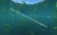 take beautiful screenshots for you in minecraft