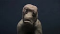 create unique 3d claymation video and stop motion animation