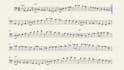 transcribe any bass line for you