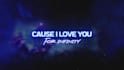 create an amazing and professional animated lyric video