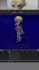 create video and 3d animated characters using maya, blender, and unreal engine 5