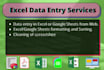 do excel data entry,  data cleaning in 24 hours
