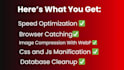do wordpress speed optimization for google pagespeed insight