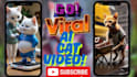 create viral ai cat video ai pet ai dog marvel stories ai animal fusion video