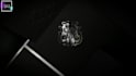 create this luxury 3d logo animation and intro reveal