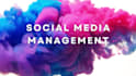 create social media management and content creator