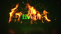 create professional fire 3d logo animation