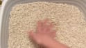 create ugc videos for cat products