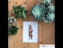 create animal watercolour illustration