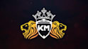 fire effect lion 3d animated logo