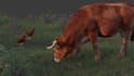 create quality 3d animal animation, 3d cgi animal animation, 3d animal rigging