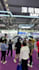 provide professional tour guide in shenzhen on food, scenic spots, business etc