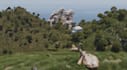 create a realistic 3d render of a landscape