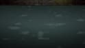 create cool animated twitch overlay, facecam, screens, panel
