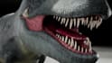 sculpt a 3d realistic character or creature model