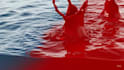 render pro 3d water simulation, 3d water animation, 3d fluid simulation,3d blood