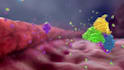 create 3d medical animation video 3d medical explainer video 3d virus explainer