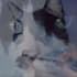 paint a custom watercolor pet portrait by hand