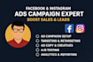 be your facebook and instagram ads campaign expert