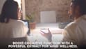 create professional video animation and edit your videos