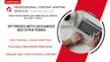 write bulk articles and blog posts on any topic