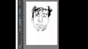 draw a digital portrait, capturing anything you desire