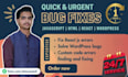fix javascript wordpress react js bugs and errors instantly