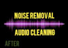 clean your audio, remove background noises