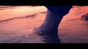 edit your footage with final cut pro 7 and premiere pro