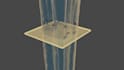 make scientific illustrations and animations in blender and canva