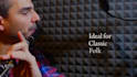 record irish flute for your project