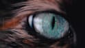 make dark electronic metal music for you