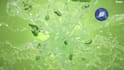 do 3d water simulation 3d bottle design  3d liquid simulation 3d fluid animation