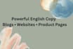 write professional SEO copywriting for blogs and websites