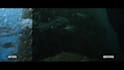 enhance and color grade your underwater video
