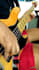 record the best pop rock bass line for you