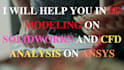 design 2d and 3d models using solidworks and ansys