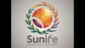 brand identity logo guidelines and professional brand