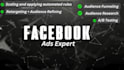 facebook and instagram ads expert
