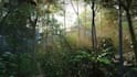 create stunning 3d game environments 3d background landscape in unreal engine5