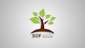 create custom 2d animation for your brand or social media