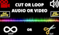 loop or cut audio and video