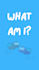viral riddles quizzes for youtube tiktok and instagram