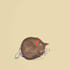 make digital illustration for you